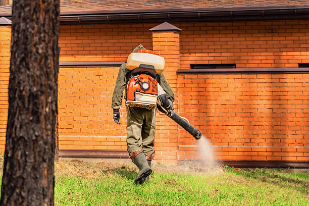 Trusted Ant Control service in Slocomb, AL - Nex Pest Control